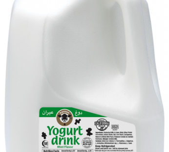 Karoun Yogurt Drink Mint