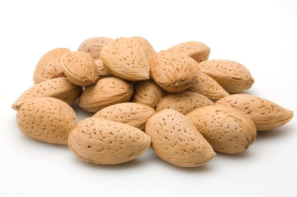 Almond Jumbo D/R/S