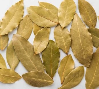 Bay Leaves