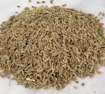 Anise Seed